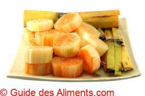 canne &agrave; sucre