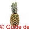 Ananas Cayenne