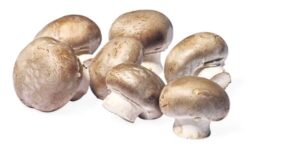 Champignons bruns
