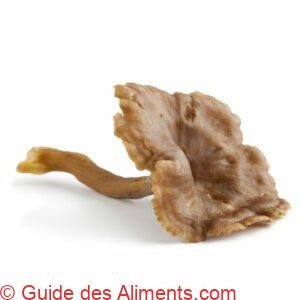 Chanterelle grise