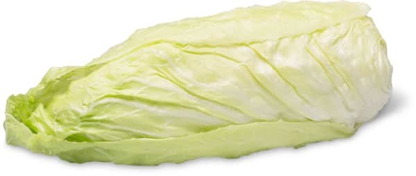 Chicor&eacute;e pain sucr&eacute;