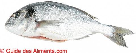 Dorade royale - Guide des Aliments