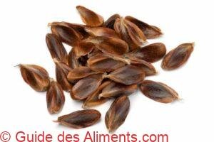 Fa&icirc;nes