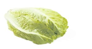 Laitue romaine