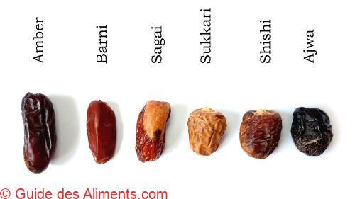 Types de dattes