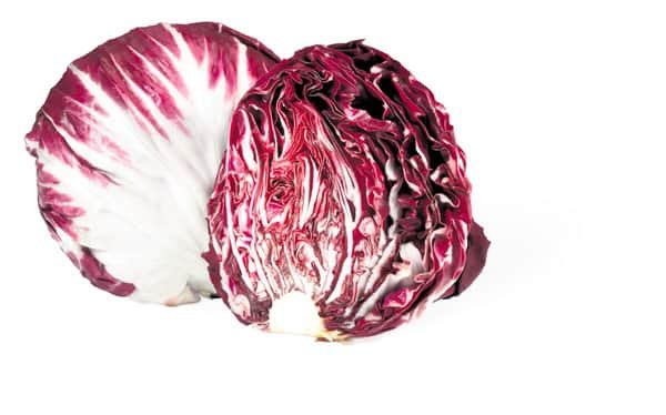 Chicor&eacute;e Rouge