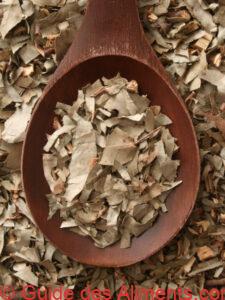 eucalyptus s&eacute;ch&eacute;