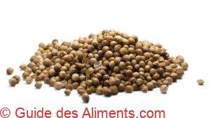 graines de coriandre