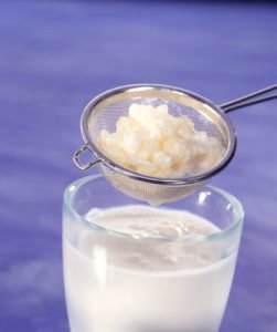 k&eacute;fir