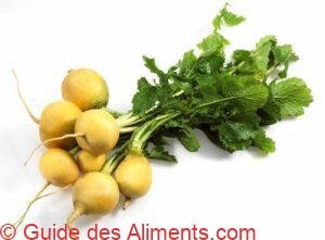 navet Boule d’Or