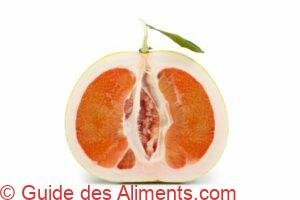pomélo