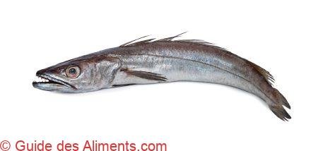 Merlu commun - Guide des Aliments