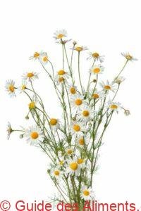 camomille