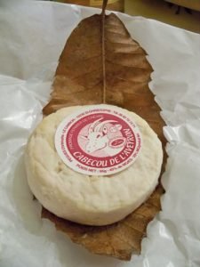 Cabecou de l'Aveyron