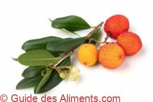 Arbouse