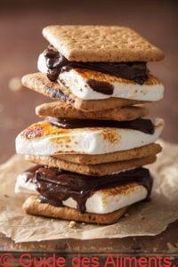 Marshmallow S'mores au Chocolate