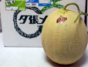 Yubari King melon