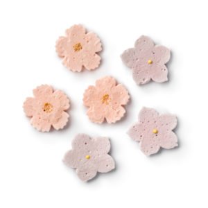 Wasanbon