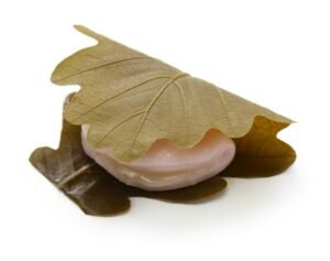 kashiwa-mochi