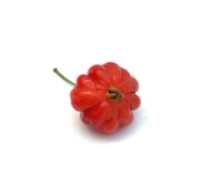 Cerise de Cayenne