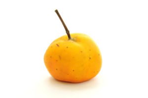 Tejocote