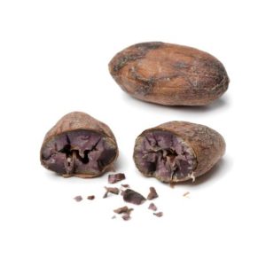 fève cacao