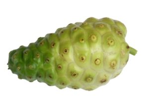 noni