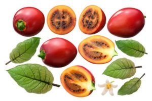 tamarillo