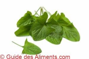 Chénopode bon-Henri