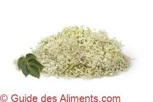 fleurs de sureau