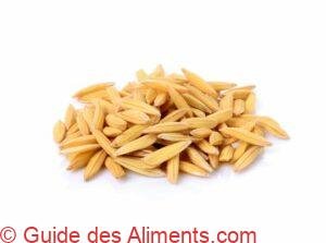 riz paddy jasmin
