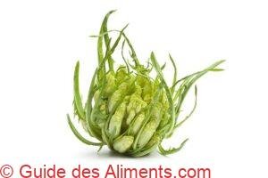 Puntarelle
