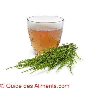 thé de Prêle des champs