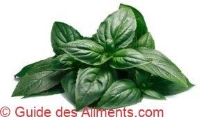 basilic tha&iuml;