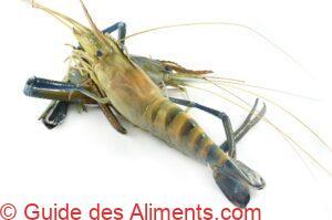 Macrobrachium rosenbergii)