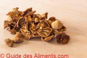 Marasme des Or&eacute;ades s&eacute;ch&eacute;s