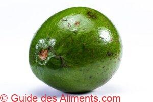 Avocat Reed