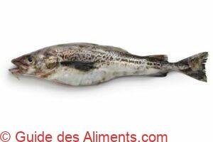 Colin d'Alaska (Theragra chalcogramma) ou Lieu d'Alaska, Goberge de l'Alaska (Canada)