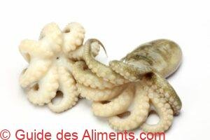 Poulpe ocell&eacute;