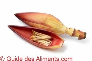 fleur de bananier