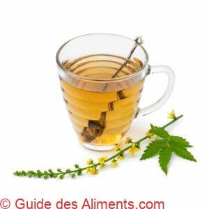 th&eacute; d'Aigremoine eupatoire
