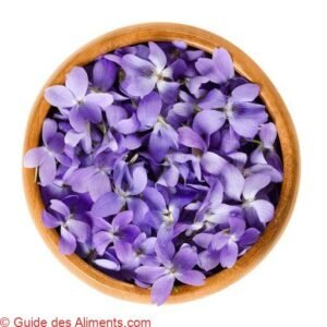 Viola odorata