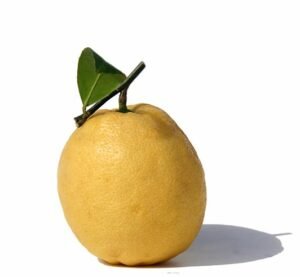 Lemonade fruit
