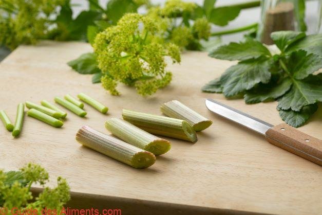 Smyrnium olusatrum