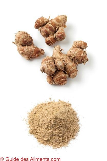 Galanga camphré
