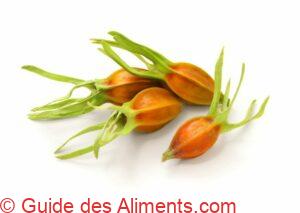 gard&eacute;nia (fruit)