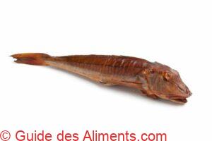 Grondin perlon fum&eacute;