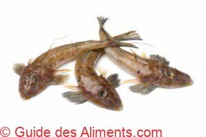 Platycephalus fuscus