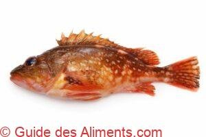 Sebastiscus marmoratus