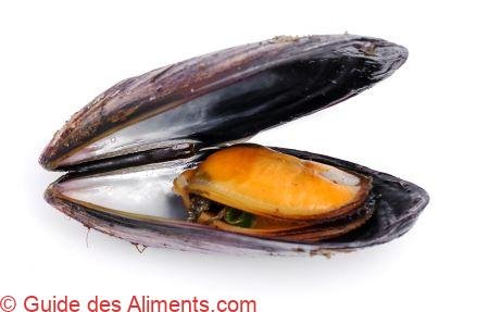 moules
